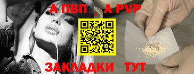 герыч Кингисепп