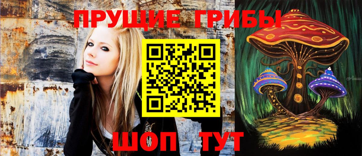 Псилоцибиновые грибы мицелий Красногорск