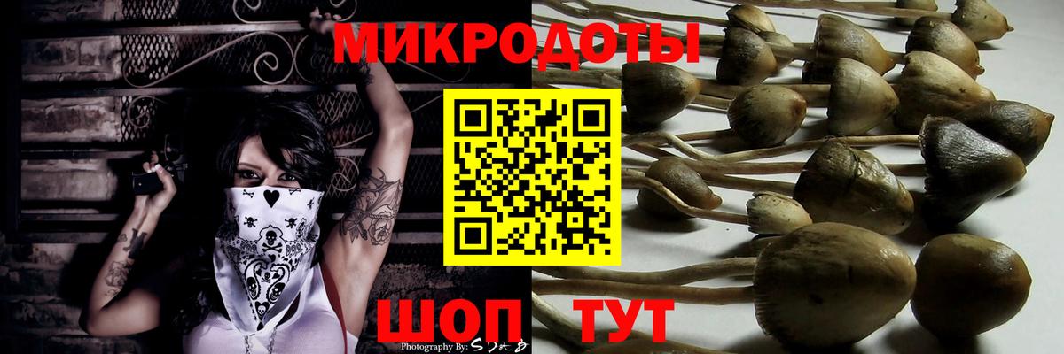 Псилоцибиновые грибы GOLDEN TEACHER  Вход с VPN  Красногорск  Галлюциногенные грибы GOLDEN TEACHER 